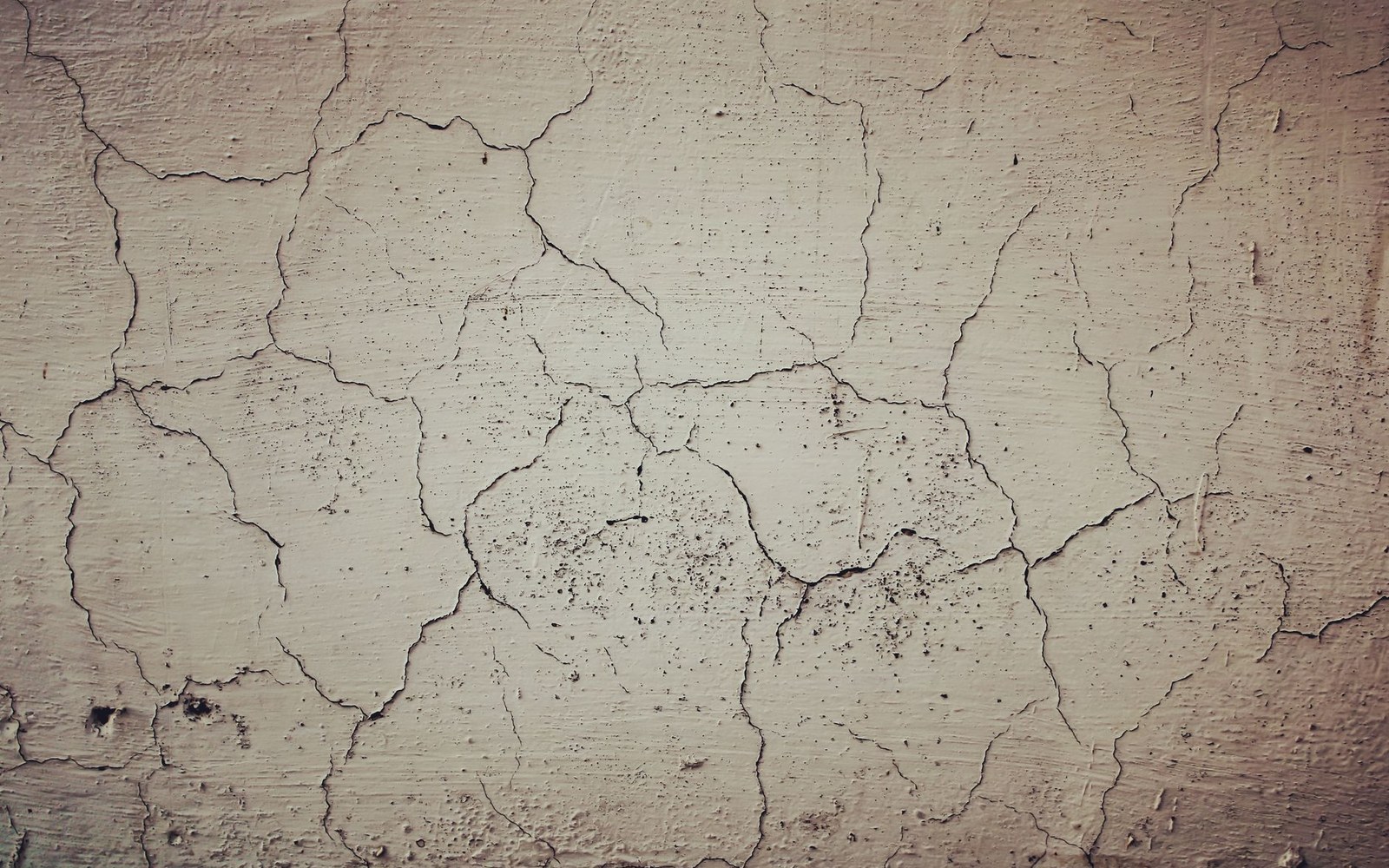 A raking-light detail of a cracked paint surface