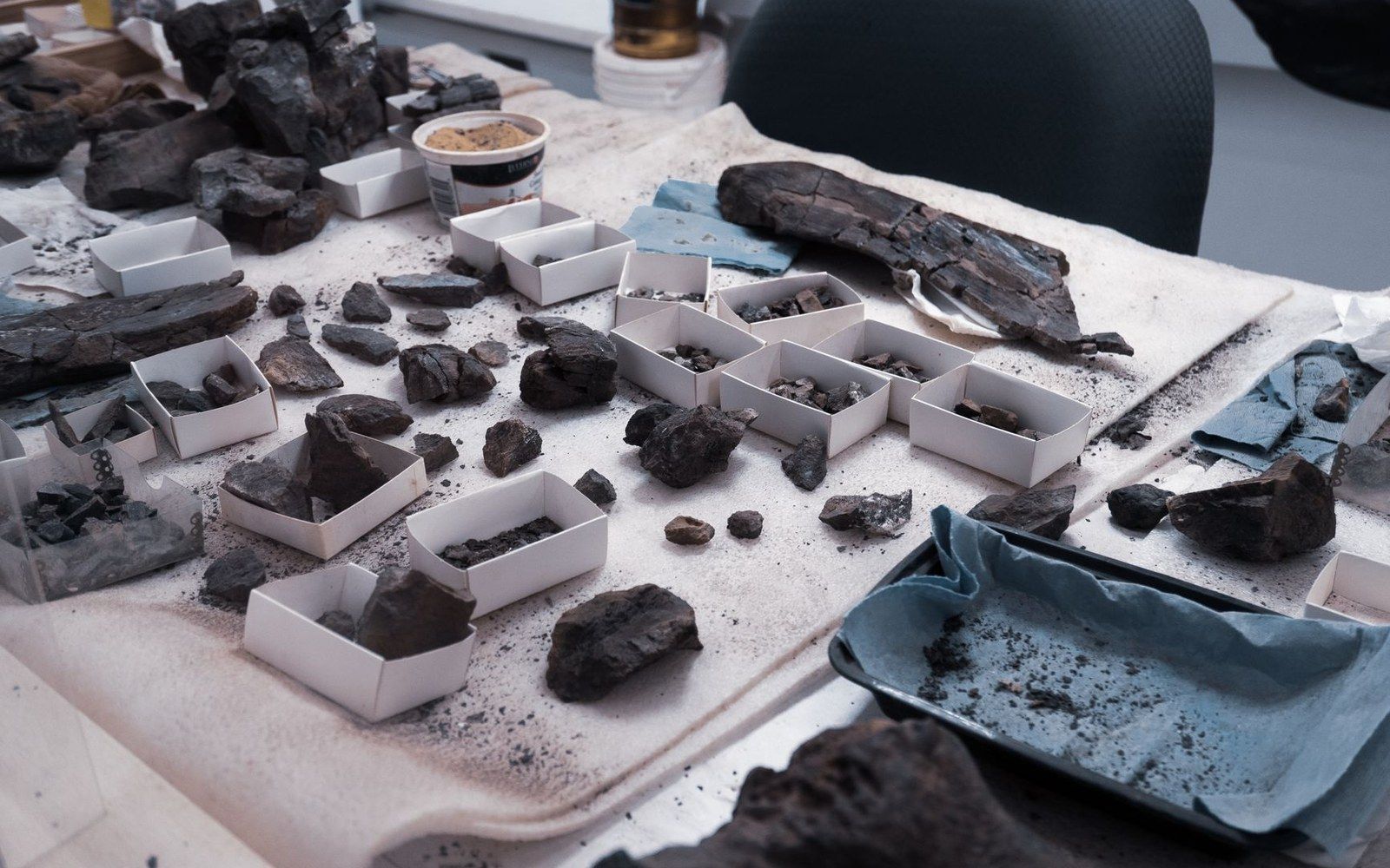 Charred fragments and burnt wood pieces sorted into small boxes on a lab table