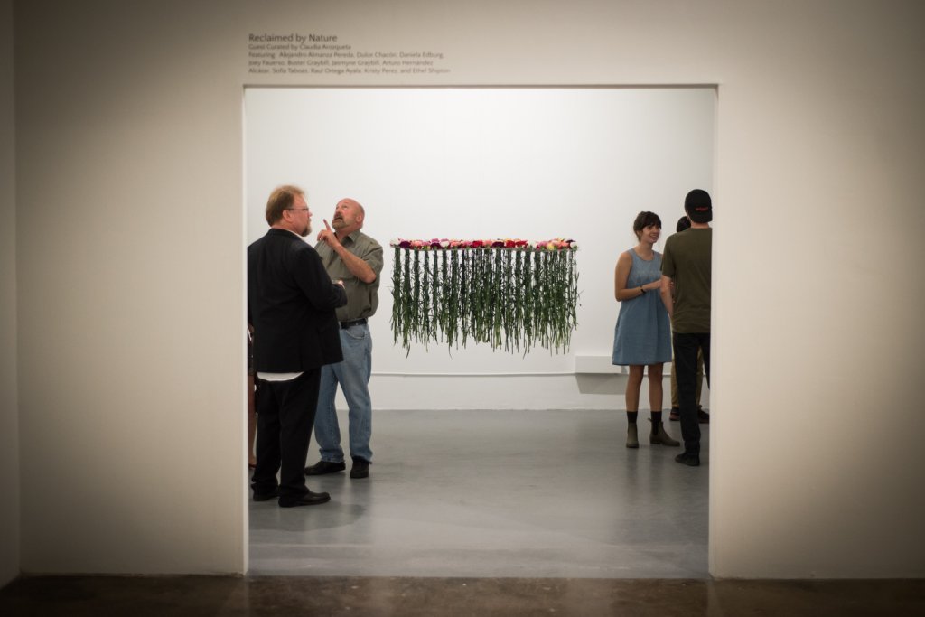 Visiting The Blue Star Contemporary Art Museum In San Antonio, Texas ...